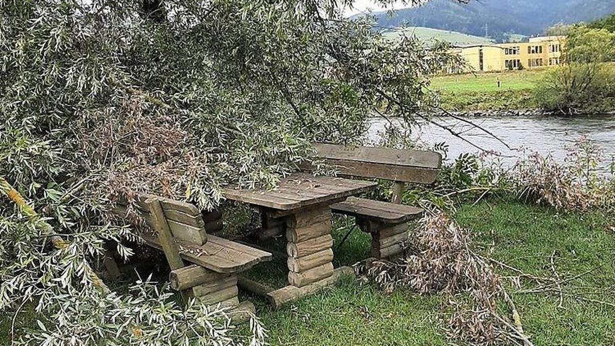 Rund 40 Bäume sind im Zuge des Sturms auf der Murinsel in St. Michael umgestürtzt