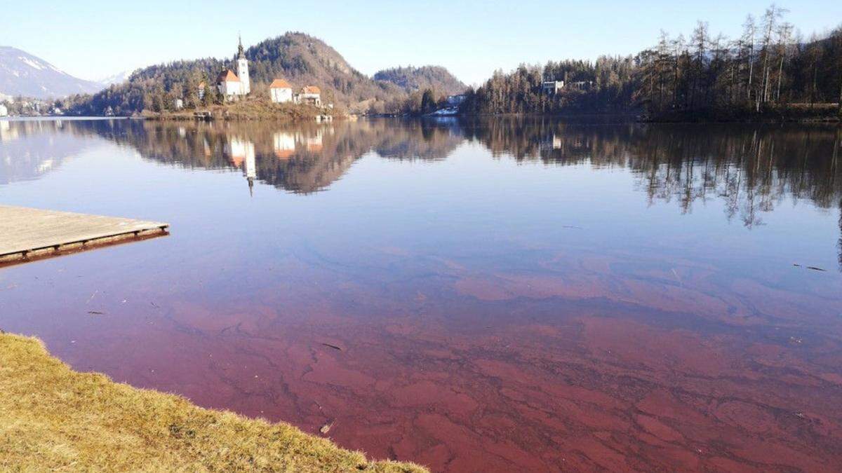 Der Blerder See begrüßt seine Besucher derzeit in ungewöhnlichen Blutrot
