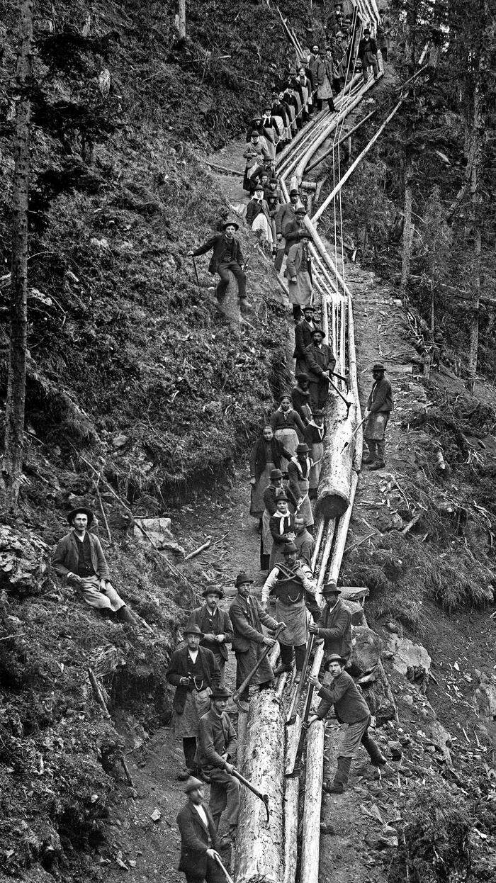 Äußerst gefährlicher Holzstämme-Transport durch Männer und Frauen in einer angelegten Riese oder Loite im Defereggental, um 1900 – in Pose für den Fotografen