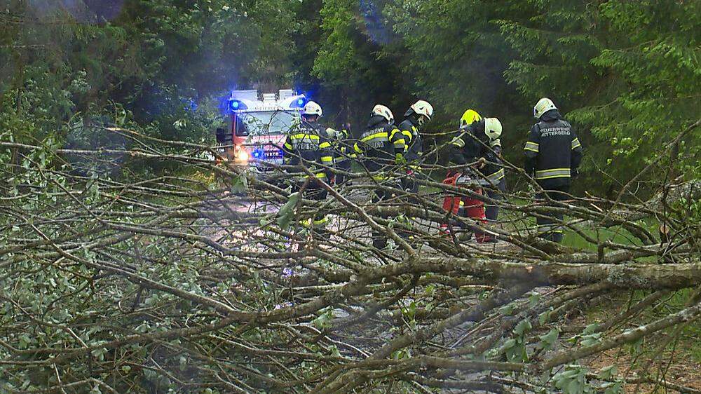 In Mitterberg (Bezirk Liezen) stürzten Bäume auf die Straße