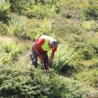 Gemeinsam entfernten die Helferinnen und Helfer unerwünschtes Gestrüpp