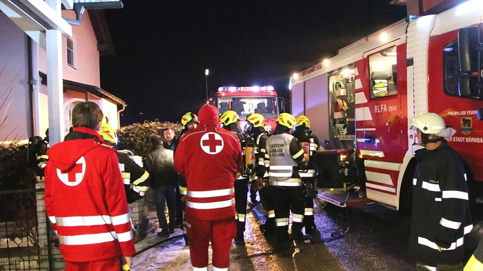 Ein Hund der sich im Keller befand, überlebte relativ unbeschadet, bei einem Kätzchen konnte die herbeigerufene Tierärztin nur mehr den Tod feststellen. Am Einsatzort waren auch Polizei und Rotes Kreuz. Den Einsatz leitete OBI Michael Witreich.