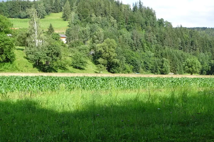 Dieser Abschnitt, die Au, ist von der Straße aus nicht zu sehen.