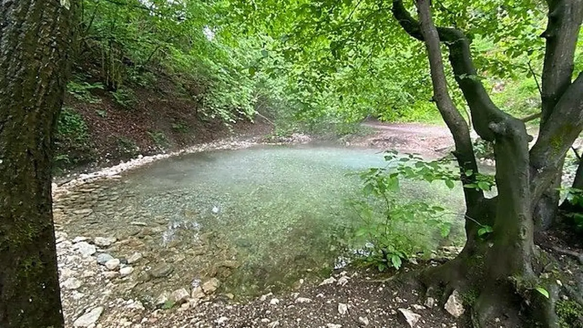Morgenstund hat Gold im Mund: Ein früher Besuch zum Maibachl lohnt sich