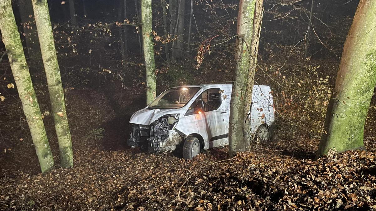 Aus bisher unbekannten Gründen kam der Kleintransporter von der Fahrbahn ab und stürzte über den Abhang in das Waldstück