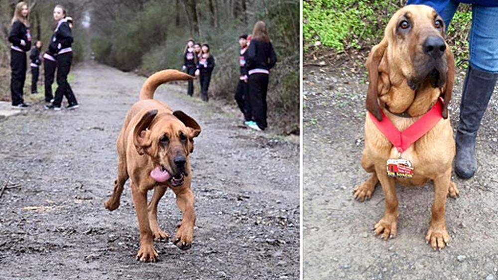 165 Menschen und ein Hund finishten den Halbmarathon 