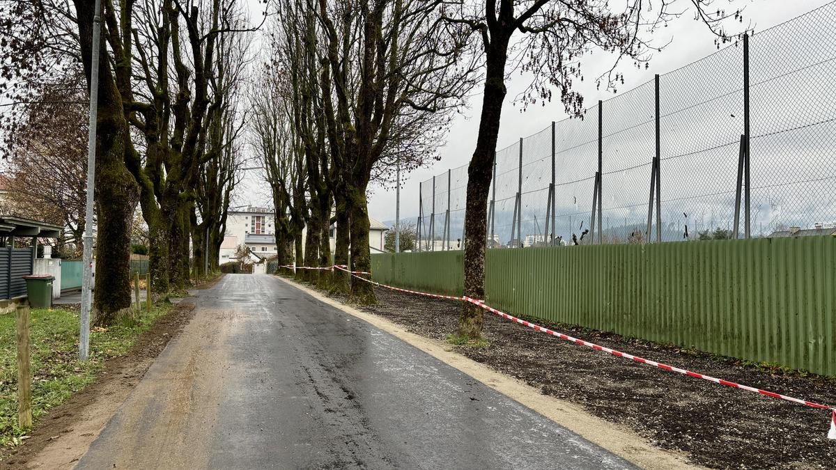 Im Zuge der Sanierung wurde ein Teil der Meister-Erhard-Allee entsiegelt