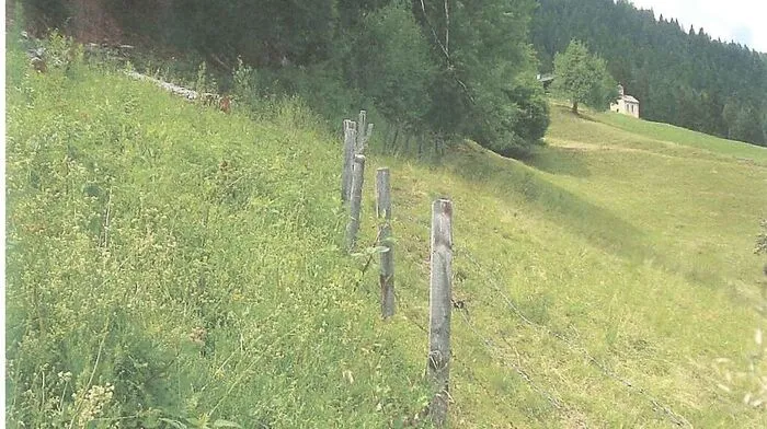 Links der Gemeindeweg und rechts die gemähte Weidefläche der Agrargemeinschaft Leisach