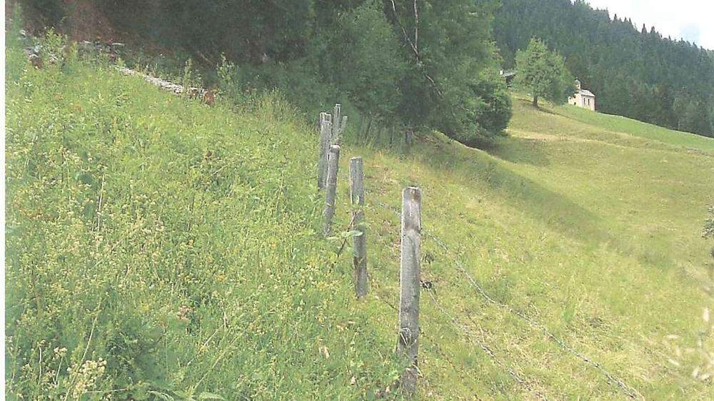 Links der Gemeindeweg und rechts die gemähte Weidefläche der Agrargemeinschaft Leisach