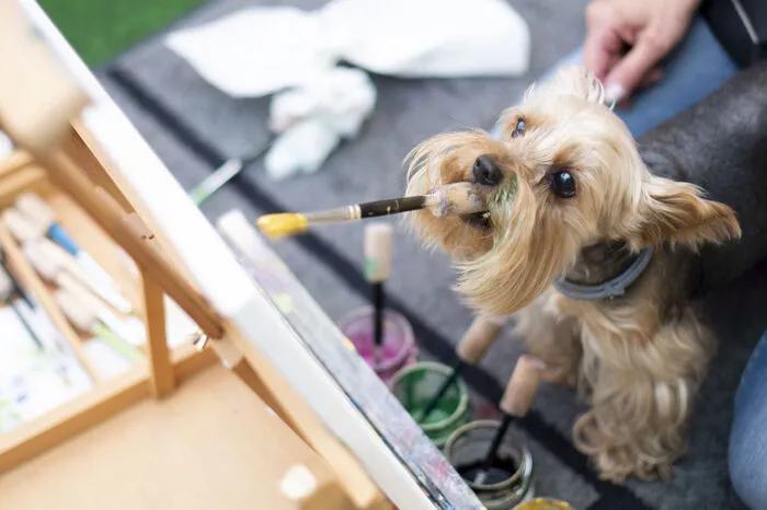 Gemalt wurde dabei nicht nur von Vier- sondern auch von Zweibeinern. Außerdem konnten sich die Besucher über die Themen Hundegesundheit und Hundetraining informieren.