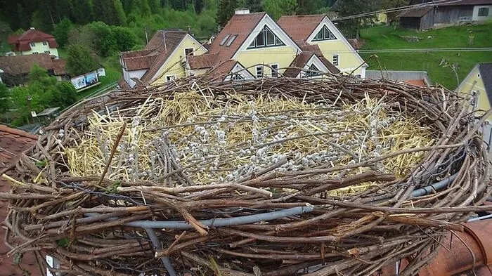 Ein gemütliches Quartier wartet auf ein Storchenpaar