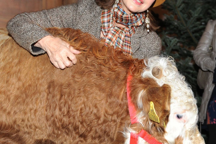 Christine Kaufmann war auch deklarierte Tierliebhaberin. Dieses Foto entstand auf dem Gut Aiderbichl.