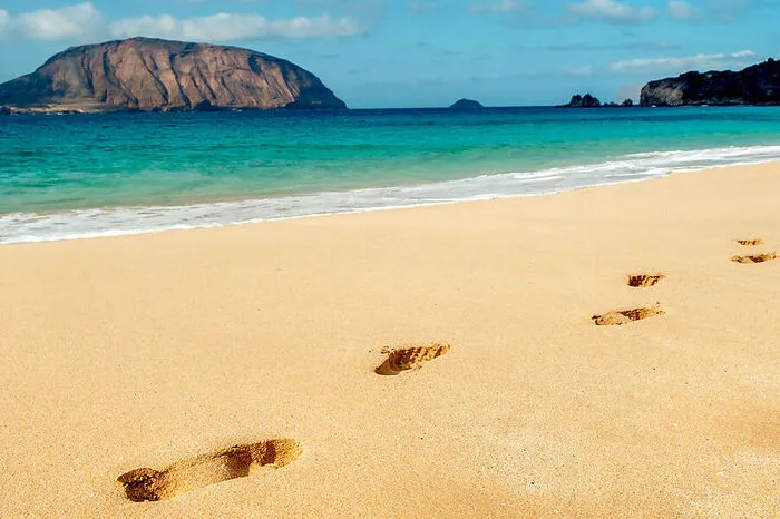 La Graciosa ist die kleinste und am wenigsten bevölkerte Insel der Kanaren. Dennoch findet sich hier der vielleicht sehenswerteste Strand der ganzen Inselgruppe, die Playa de las Conchas. Feinster, weißer Sand trifft hier auf türkisblaues Meer, der Strand fällt flach ins Wasser ab.