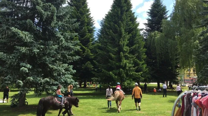 Kinderflohmarkt, Ponyreiten, Malecke, Beachvolleyball, Dj-Begleitung, Seilziehen und viele weitere Sportmöglichkeiten und und und - das 2. Straßengler Familienfest war ein voller Erfolg. Von 10 bis 17 Uhr herrschte Partystimmung im Park im Zentrum. Klicken Sie sich durch und machen Sie mit uns einen "Sonntagsspaziergang".
