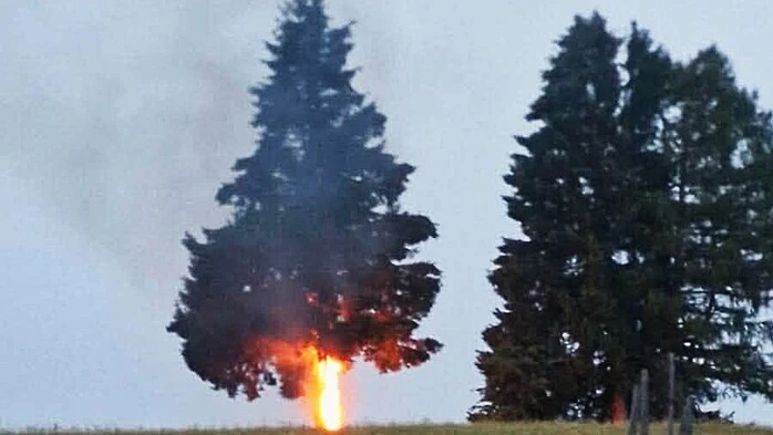 So fanden die Einsatzkräfte den brennenden Baum nach dem Blitzeinschlag vor