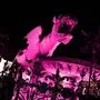 Der Lindwurm erstrahlt in pink.