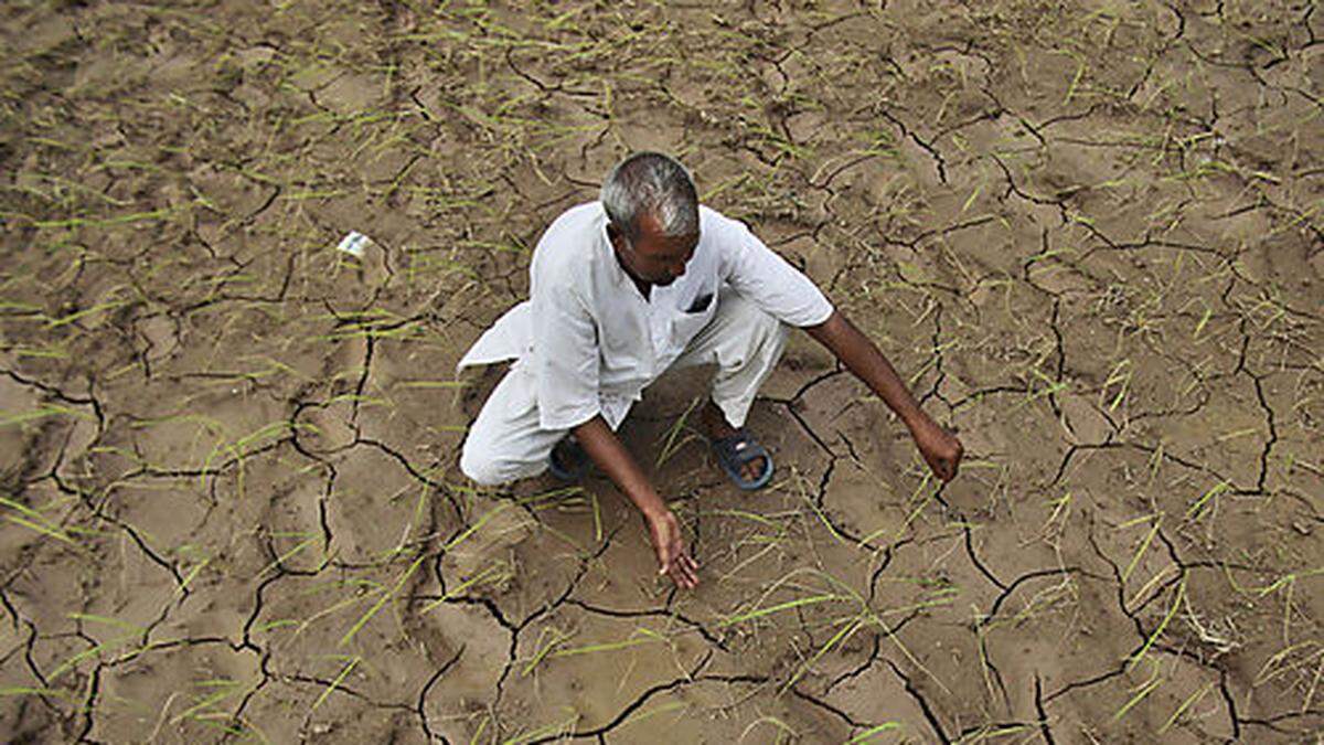 El Nino brachte sowohl Trockenheit als auch Überschwemmungen