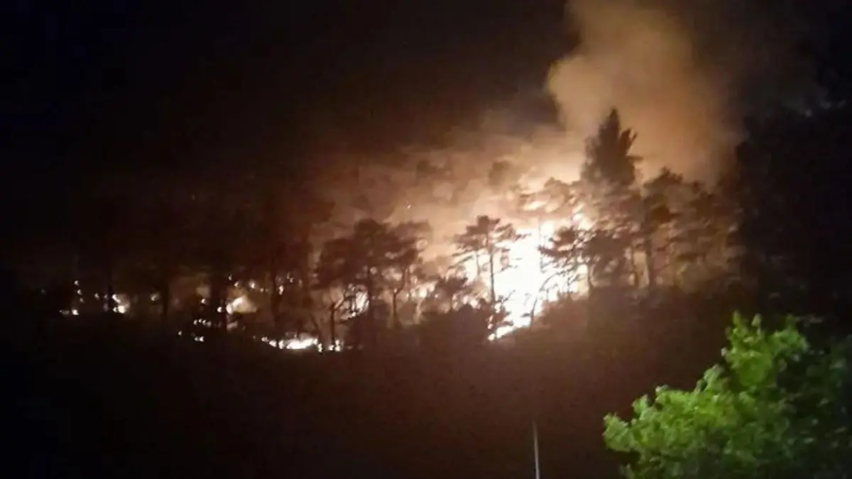 Kiefernwald in Crkvenica im Vollbrand