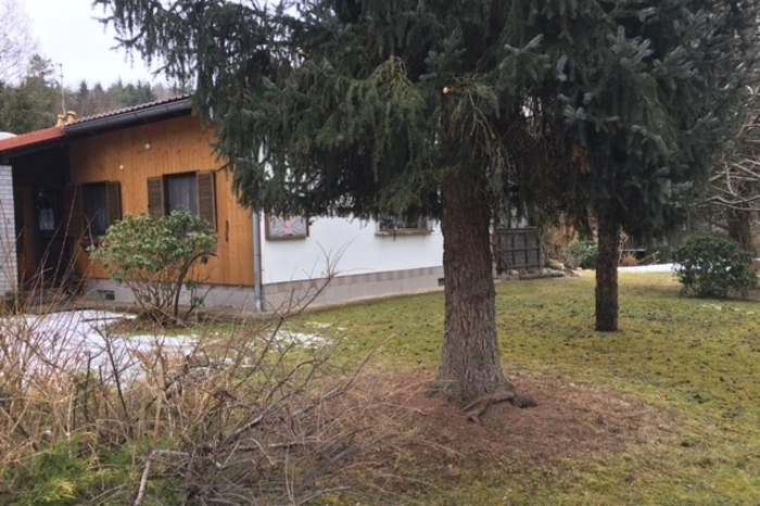 Der genaue Fundort war unter diesem Baum.