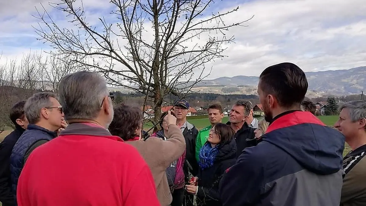 Das Projekt „Blühendes Lavanttal“ läuft über zweieinhalb Jahre