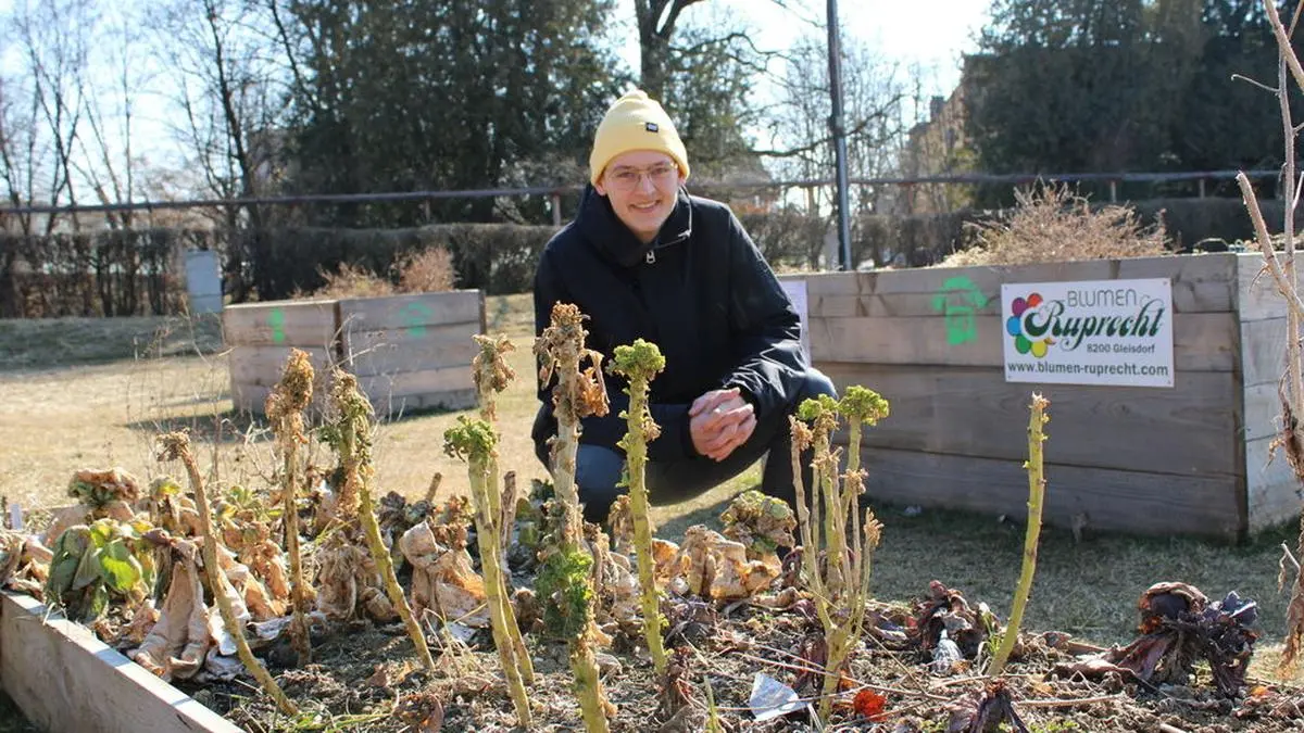 Julius Braunstein und sein Team vom Plan G wollen den Gemeinschaftsgarten in Gleisdorf erweitern