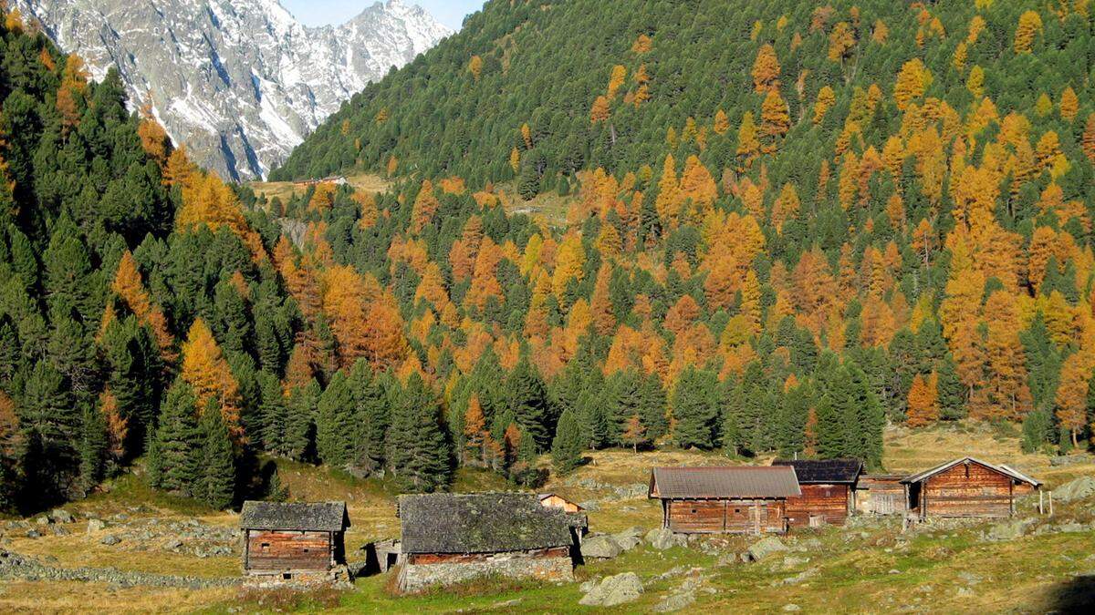 Einladend: der Spätherbst im Trojeralmtal