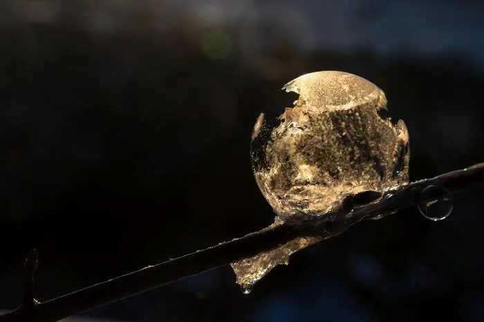 Wasser, Licht und Natur aus ungewöhnlichen Perspektiven stehen im Mittelpunkt seiner Fotografien
