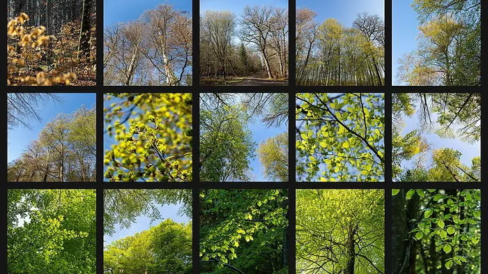 In den letzten Jahren wurde großes Augenmerk auf den Förderbereich Waldbau gelegt