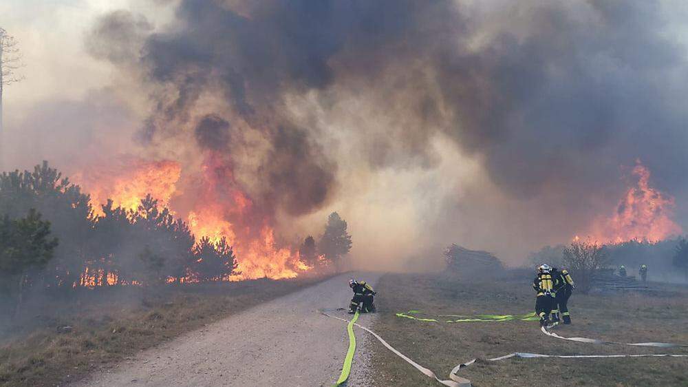 Föhrendwaldbrand auf 30 Hektar hält seit Dienstag die Einsatzkräfte in Neunkirchen (NÖ) auf Trab