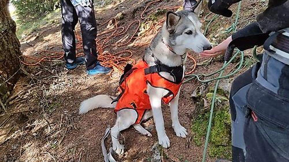 &quot;Der Hund hatte Riesenglück, dass er für die Nacht einen Felsvorsprung gefunden hat&quot;, sagt Einsatzleiter Gregor Pobegen