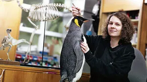 Melina Franz (26). Im dritten Lehrjahr als Tierpräparatorin im Naturhistorischen Museum Wien.
