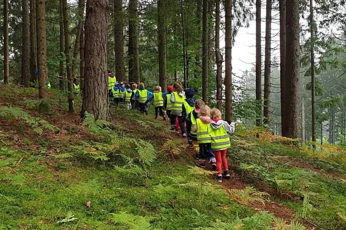Im vergangenen Kindergartenjahr wurde im Kindergarten Baldramsdorf das Thema "Wald" in vier Waldwochen und Waldtagen aufbereitet