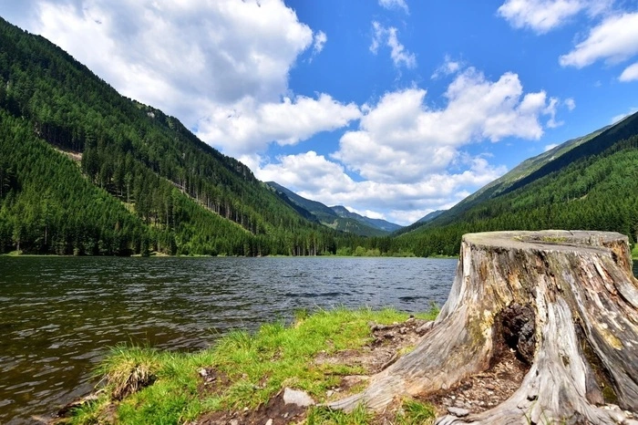 Einmal rund um den See wandern? Das dauert etwa 45 Minuten