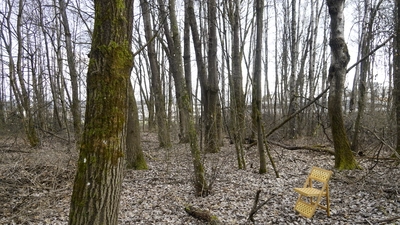 Das Unikum befragt den Ort