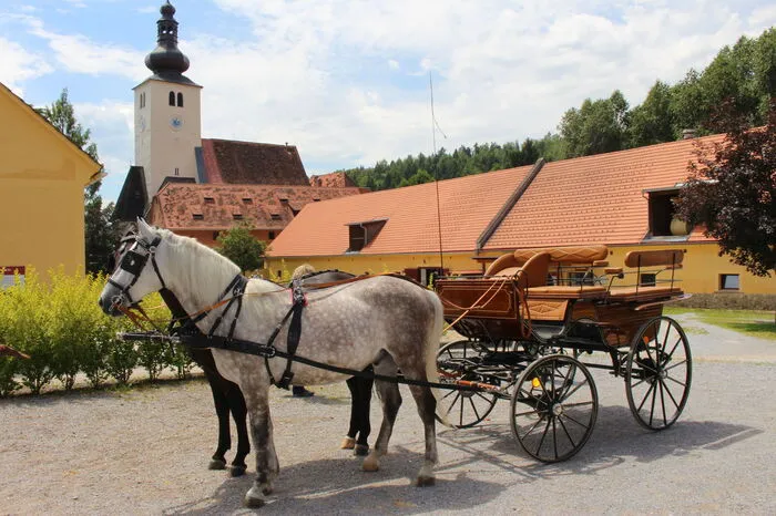 Und noch eine Regel: Der Fahrgast darf niemals vor dem Kutscher einsteigen. Eine Sicherheitsmaßnahme, falls sich die Pferde erschrecken und durchgehen.
