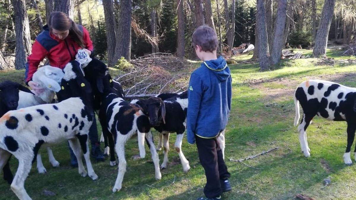 Familie Wibmer aus Zedlach