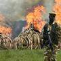 KENYA-IVORY-WILDLIFE-FIRE