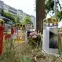 Mit Kerzen und Blumen wird am Fundort der getöteten 13-Jährigen gedacht