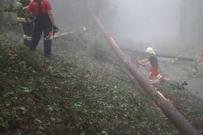 Bäume, die quer über die Straße lagen, wurden von den Feuerwehrmännern entfernt.