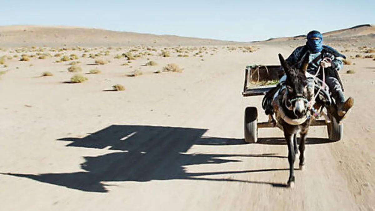 Die Weltpremiere von "Untitled" hat Michael Glawogger leider nicht mehr erlebt