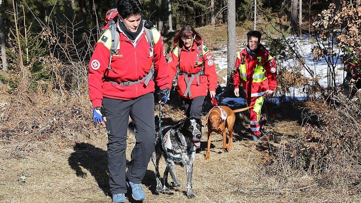 Rettungshunde sind im Einsatz