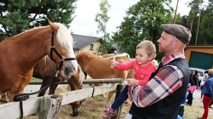 Dabei zogen prächtige, rund 1000 Kilogramm schwere Norikerpferde, vollblütige Araberhengste und temperamentvolle Haflinger die Besucher ebenso in ihren Bann ...