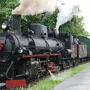 Kann die Feistritztalbahn gerettet werden?