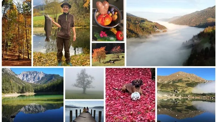 Lassen Sie uns doch an Ihrem Herbst teilhaben und schicken Sie uns Ihre Fotos vom Herbst und Menschen im Herbst. Wir sind wirklich sehr gespannt auf Ihre Bilder!So funktioniert es: Schicken Sie uns Ihre schönsten Herbstfotos mit kurzer Beschreibung an leored@kleinezeitung.at.