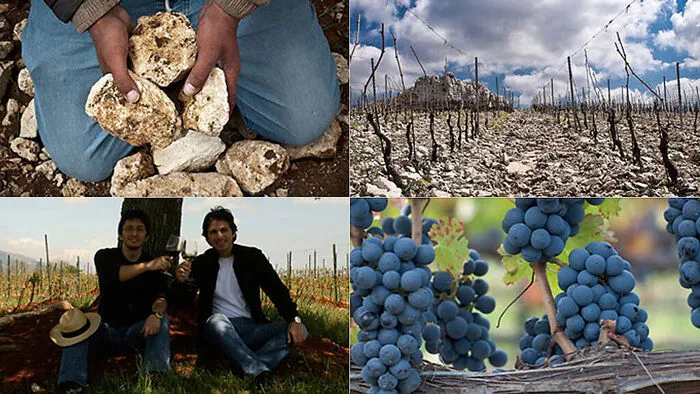 Die Saade-Brüder und ihr Weingut in Syrien