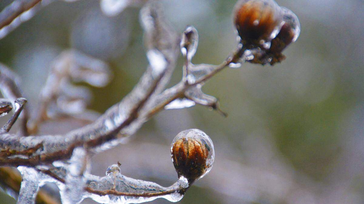 Achtung, Frostgefahr! Heute Nacht wird es kalt (Sujetbild) 