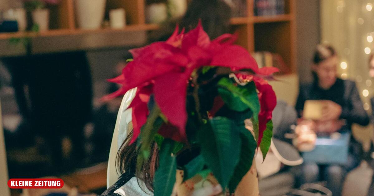 „Weihnachten bedeutet auch Wut, Verzweiflung und Tränen“
