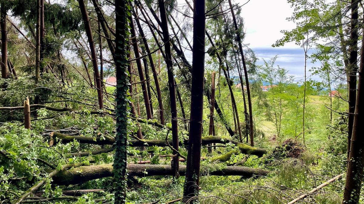 Die Unwetter vor rund zwei Wochen hinterließen besonders in St. Martin im Sulmtal ihre Spuren