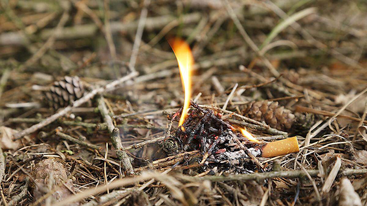 Auch der Waldboden ist ausgetrocknet - die Waldbrandgefahr ist groß