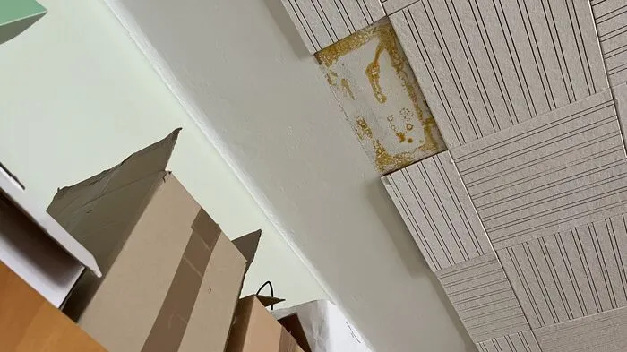 Immer wieder fallen Platten von der Decke